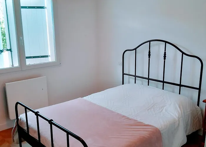 Les Etoiles De Germaine Tatil Evi Lavit